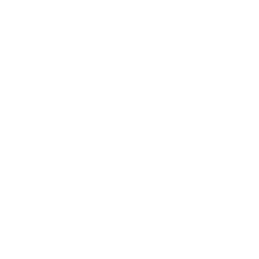 Sustainable Growth